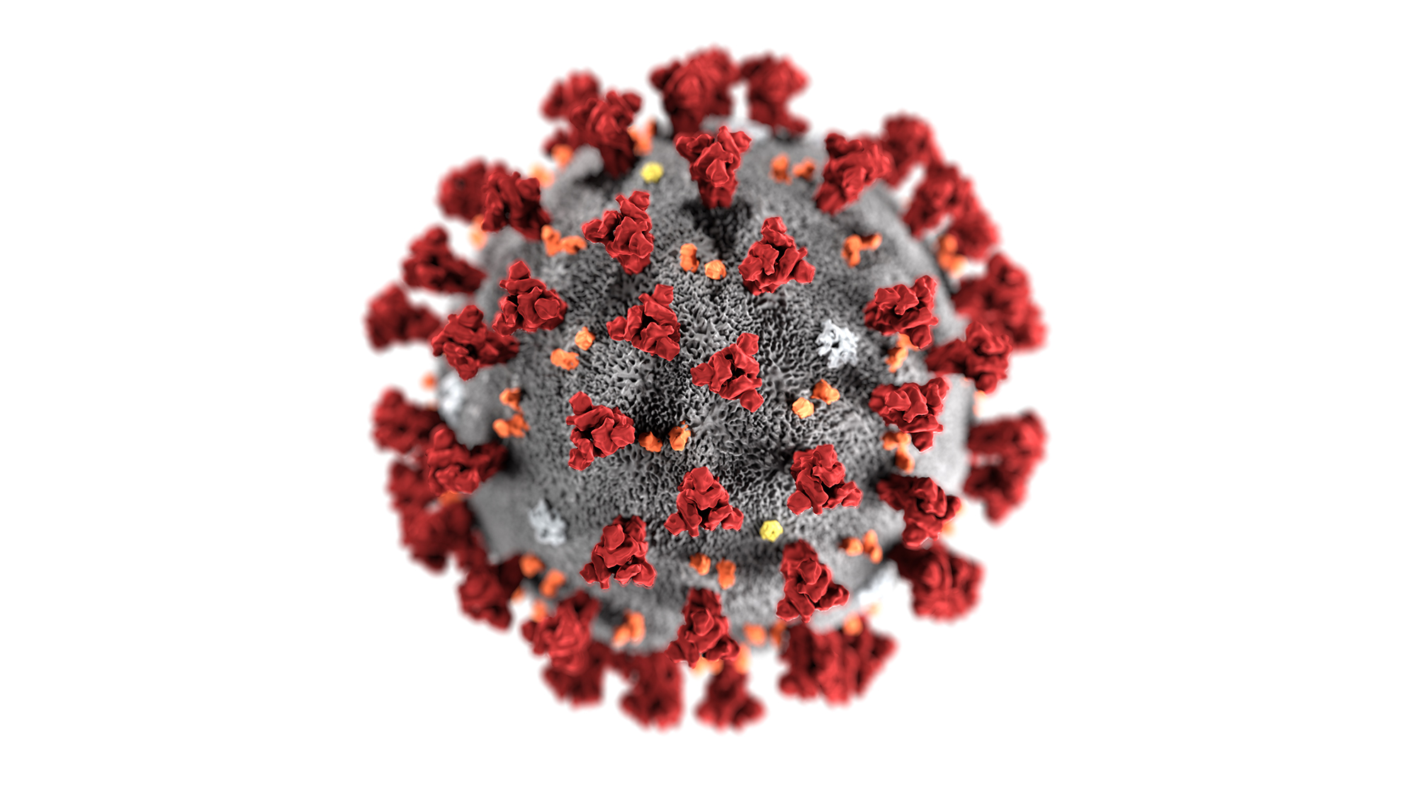 coronavirus cdc 1585869759